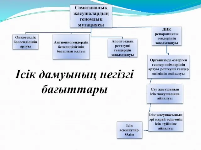 Ісік дамуының негізгі бағыттары