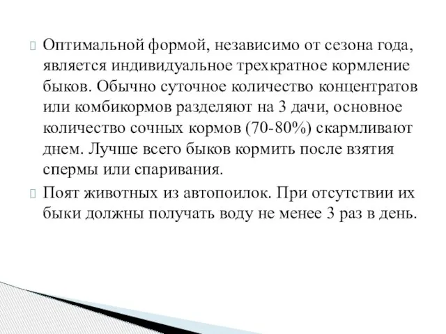 Оптимальной формой, независимо от сезона года, является индивидуальное трехкратное кормление быков.