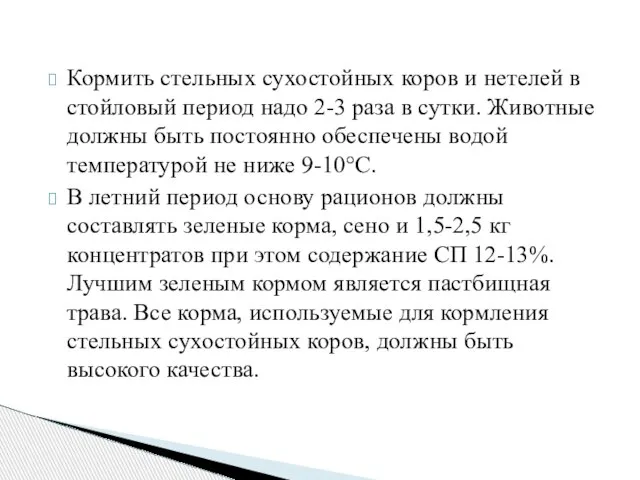 Кормить стельных сухостойных коров и нетелей в стойловый период надо 2-3