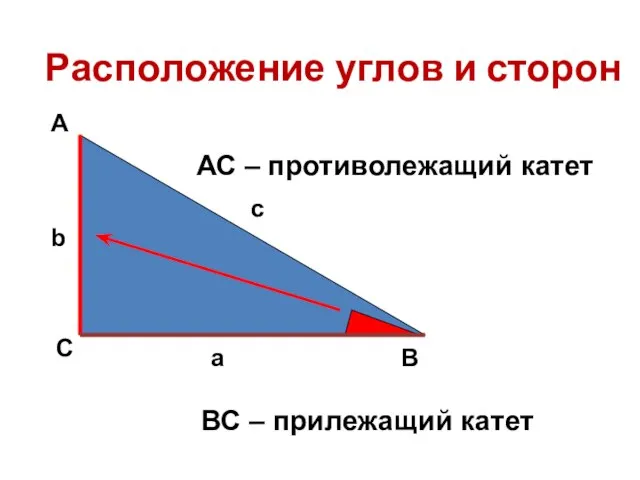 Расположение углов и сторон А С В b c a АС