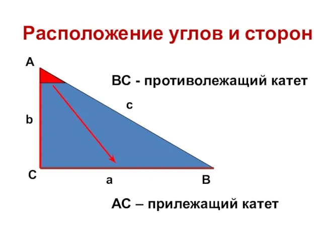 Расположение углов и сторон А С В b c a ВС