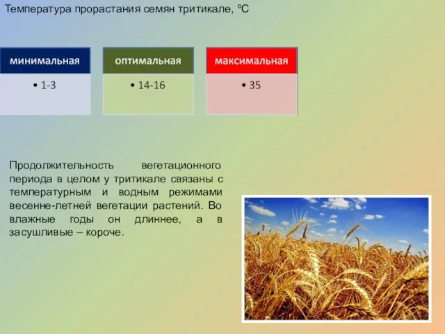 Температура прорастания семян тритикале, ºС Продолжительность вегетационного периода в целом у