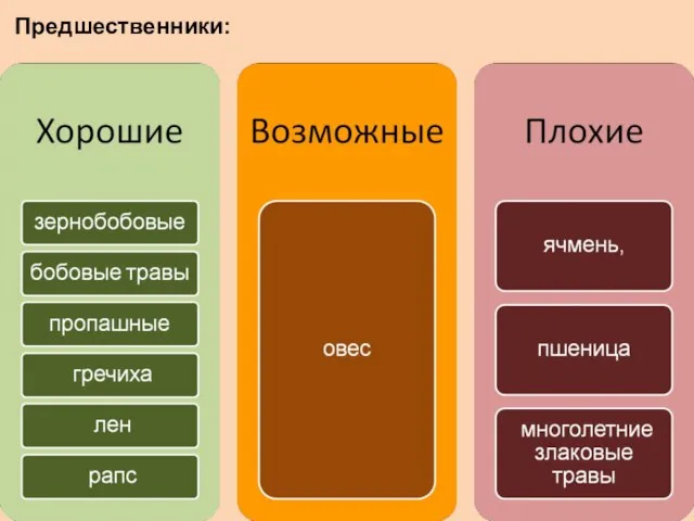 Предшественники: