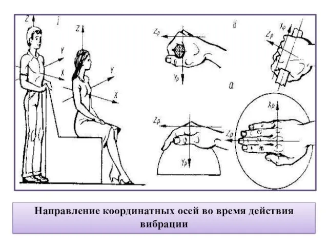 Направление координатных осей во время действия вибрации