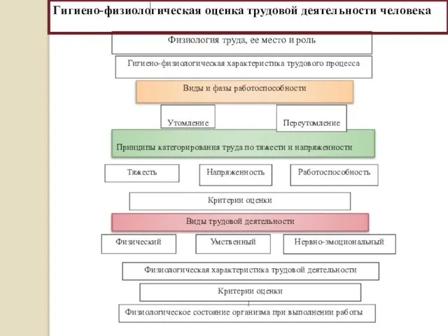 Виды трудовой деятельности Физиология труда, ее место и роль Физический Физиологическая