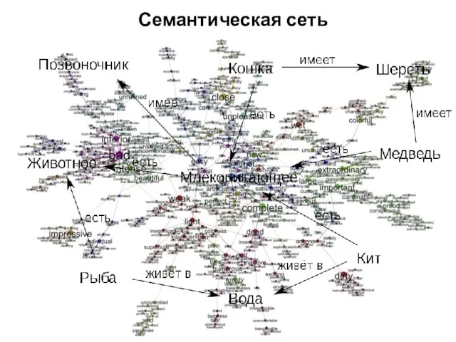 Семантическая сеть (Semantic Network) — информационная модель предметной области, имеющая вид