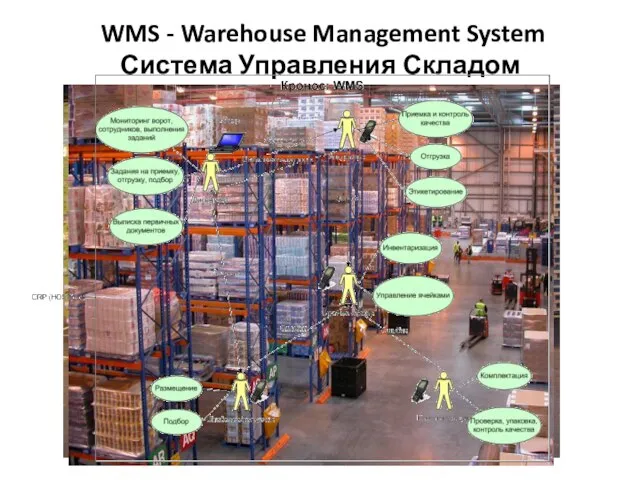 WMS - Warehouse Management System Система Управления Складом