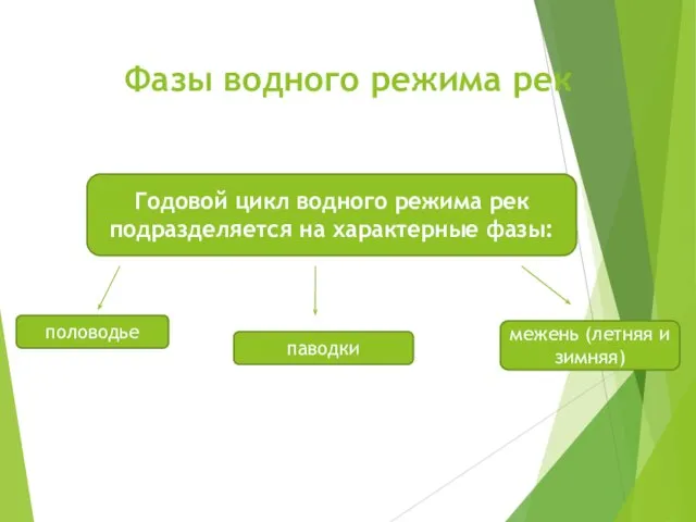 Фазы водного режима рек Годовой цикл водного режима рек подразделяется на