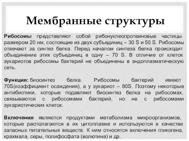 Мембранные структуры Рибосомы представляют собой рибонуклеопротеиновые частицы размером 20 нм, состоящие