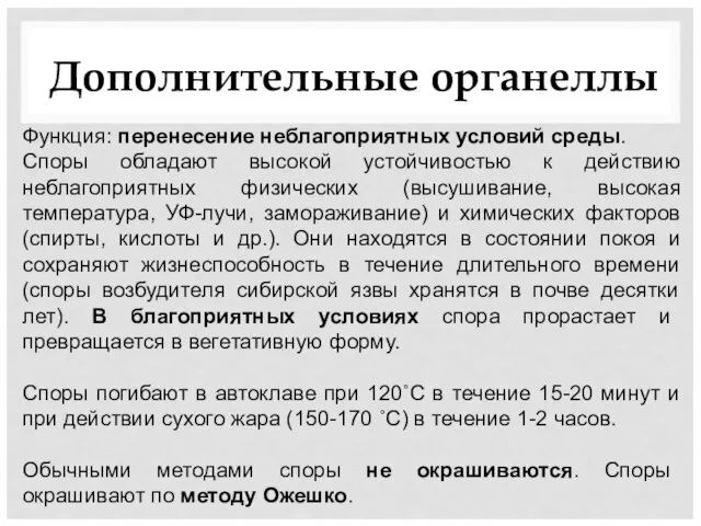 Дополнительные органеллы Функция: перенесение неблагоприятных условий среды. Споры обладают высокой устойчивостью