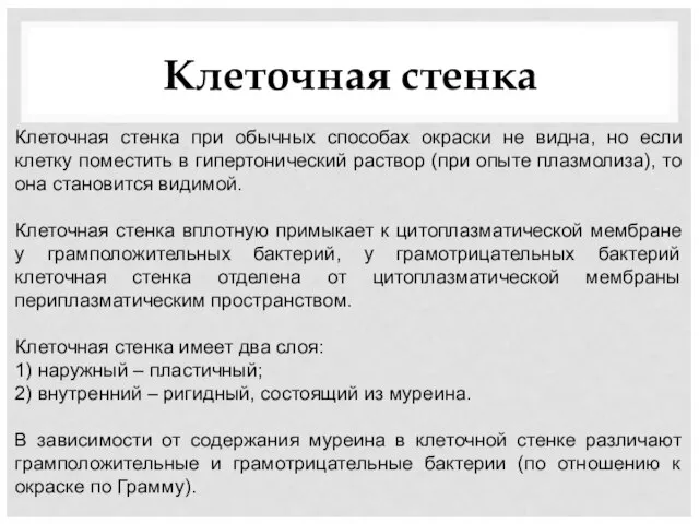 Клеточная стенка Клеточная стенка при обычных способах окраски не видна, но