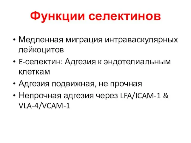 Функции селектинов Медленная миграция интраваскулярных лейкоцитов E-селектин: Адгезия к эндотелиальным клеткам