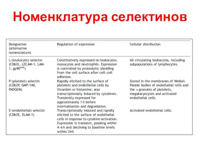 Номенклатура селектинов