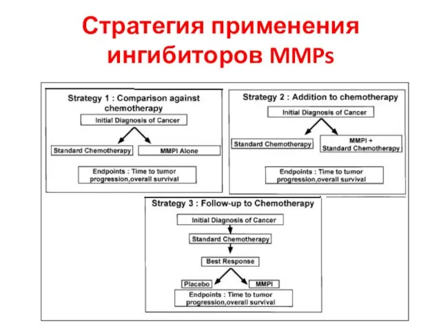 Стратегия применения ингибиторов MMPs