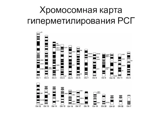 Хромосомная карта гиперметилирования РСГ