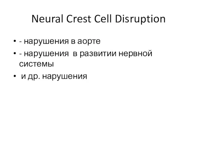 Neural Crest Cell Disruption - нарушения в аорте - нарушения в