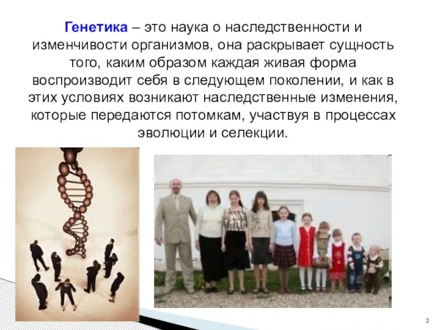 Генетика – это наука о наследственности и изменчивости организмов, она раскрывает