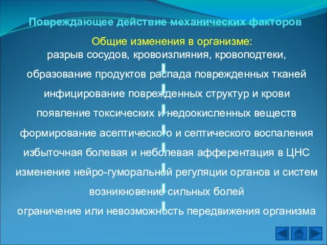 Повреждающее действие механических факторов Общие изменения в организме: разрыв сосудов, кровоизлияния,