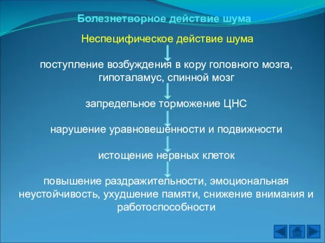 Болезнетворное действие шума Неспецифическое действие шума поступление возбуждения в кору головного