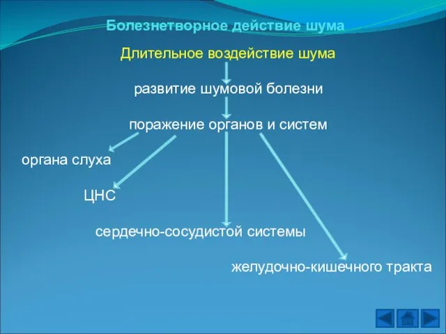 Болезнетворное действие шума Длительное воздействие шума развитие шумовой болезни поражение органов