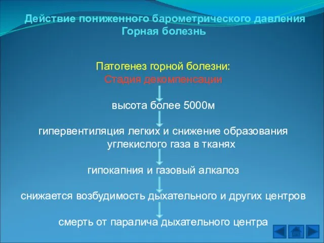 Действие пониженного барометрического давления Горная болезнь Патогенез горной болезни: Стадия декомпенсации