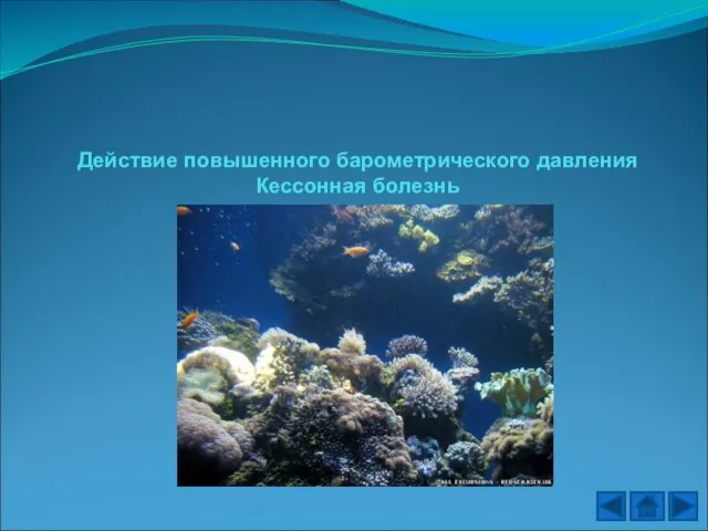 Действие повышенного барометрического давления Кессонная болезнь