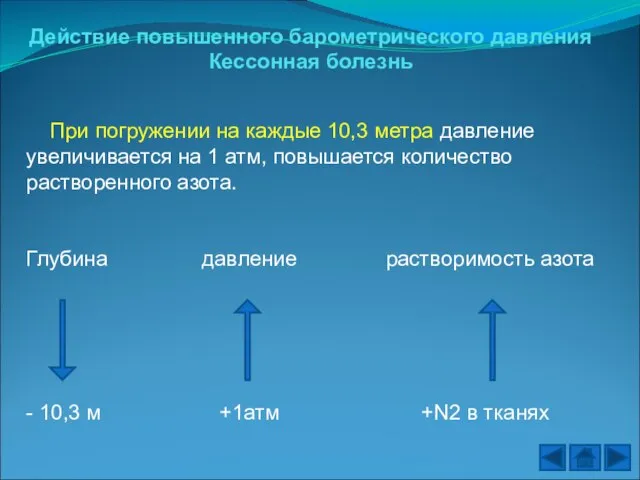 Действие повышенного барометрического давления Кессонная болезнь При погружении на каждые 10,3