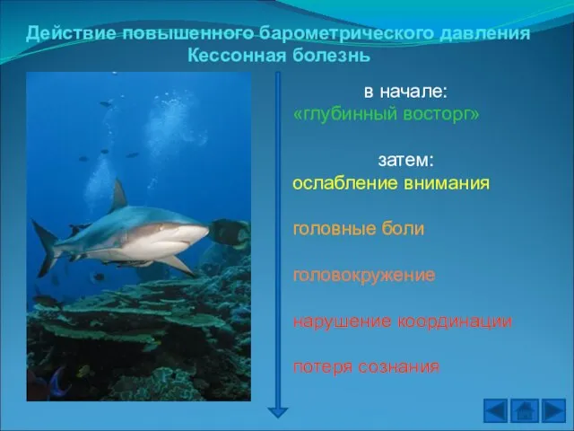 Действие повышенного барометрического давления Кессонная болезнь в начале: «глубинный восторг» затем: