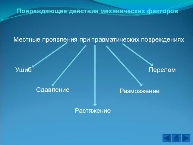 Повреждающее действие механических факторов Местные проявления при травматических повреждениях Ушиб Сдавление Растяжение Размозжение Перелом