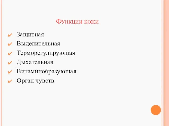 Функции кожи Защитная Выделительная Терморегулирующая Дыхательная Витаминобразующая Орган чувств