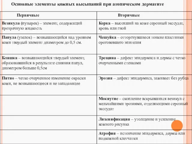 Основные элементы кожных высыпаний при атопическом дерматите