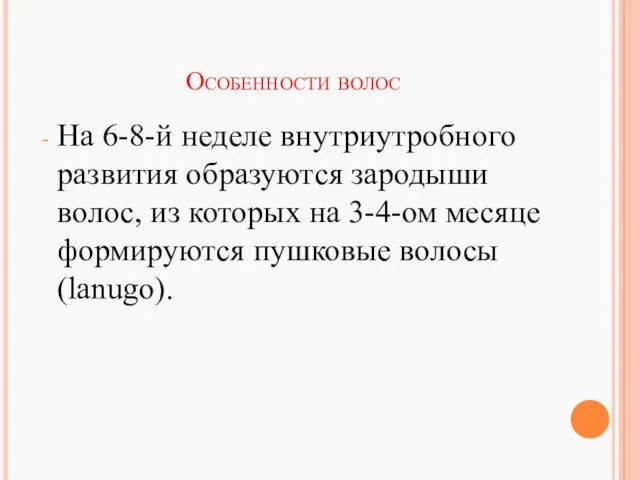 Особенности волос На 6-8-й неделе внутриутробного развития образуются зародыши волос, из