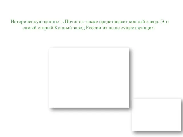 Историческую ценность Починок также представляет конный завод. Это самый старый Конный завод России из ныне существующих.