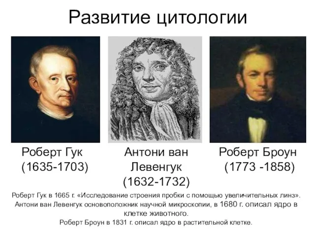 Развитие цитологии Роберт Гук (1635-1703) Антони ван Левенгук (1632-1732) Роберт Броун