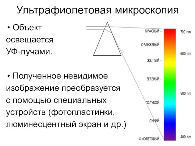 Ультрафиолетовая микроскопия Объект освещается УФ-лучами. Полученное невидимое изображение преобразуется с помощью