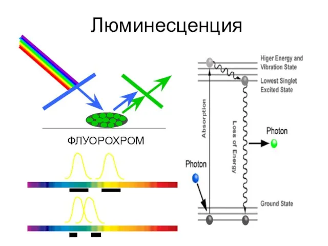 Люминесценция