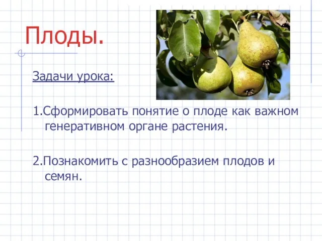 Плоды. Задачи урока: 1.Сформировать понятие о плоде как важном генеративном органе