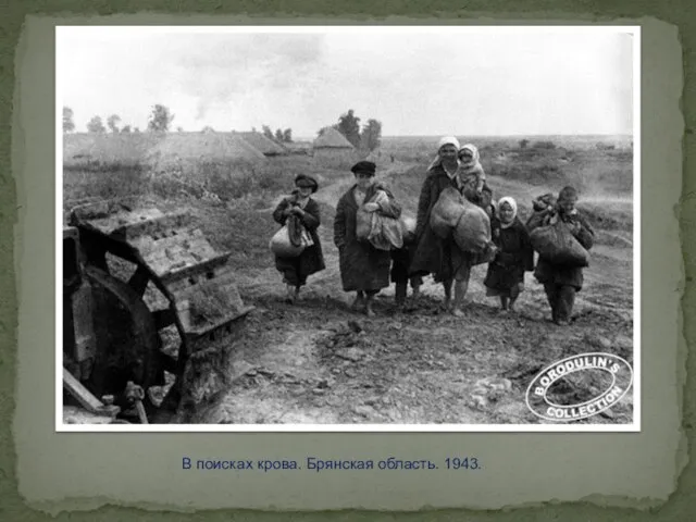 В поисках крова. Брянская область. 1943.