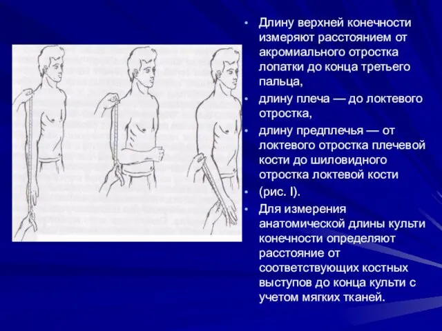 Длину верхней конечности измеряют расстоянием от акромиального отростка лопатки до конца