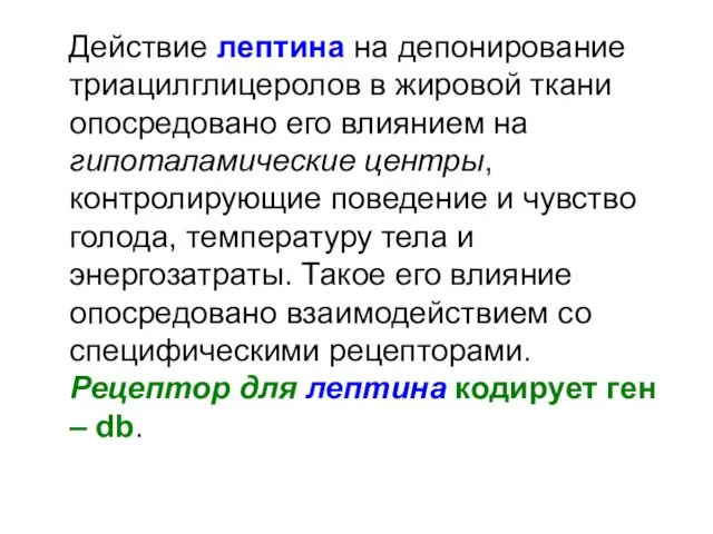 Действие лептина на депонирование триацилглицеролов в жировой ткани опосредовано его влиянием