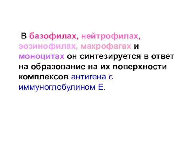 В базофилах, нейтрофилах, эозинофилах, макрофагах и моноцитах он синтезируется в ответ