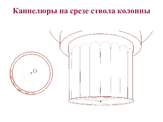 Каннелюры на срезе ствола колонны