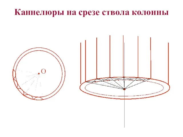 Каннелюры на срезе ствола колонны