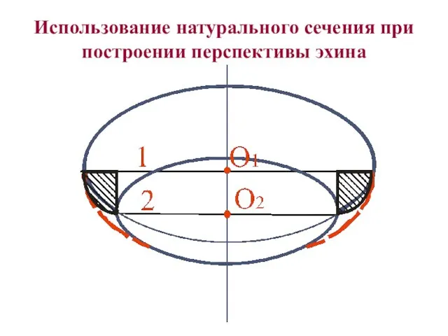 Использование натурального сечения при построении перспективы эхина