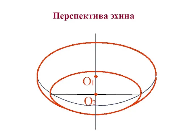 Перспектива эхина