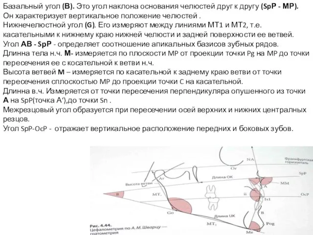 Базальный угол (В). Это угол наклона основания челюстей друг к другу