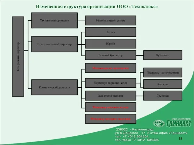 Измененная структура организации ООО «Технолюкс»