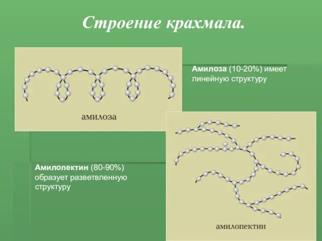 Строение крахмала. Амилоза (10-20%) имеет линейную структуру Амилопектин (80-90%) образует разветвленную структуру