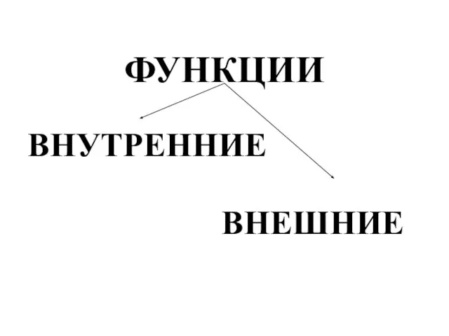 ФУНКЦИИ ВНУТРЕННИЕ ВНЕШНИЕ