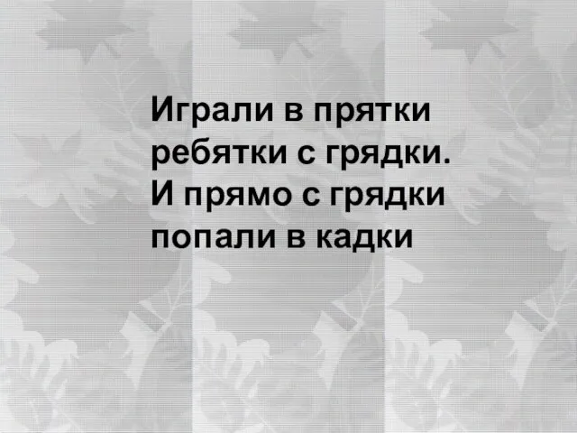 Играли в прятки ребятки с грядки. И прямо с грядки попали в кадки